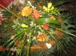 IMG_3985.jpg